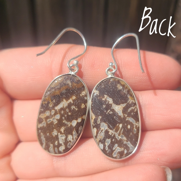 Palm Root Fossil Agate 925 Earrings - Picture 5 of 5